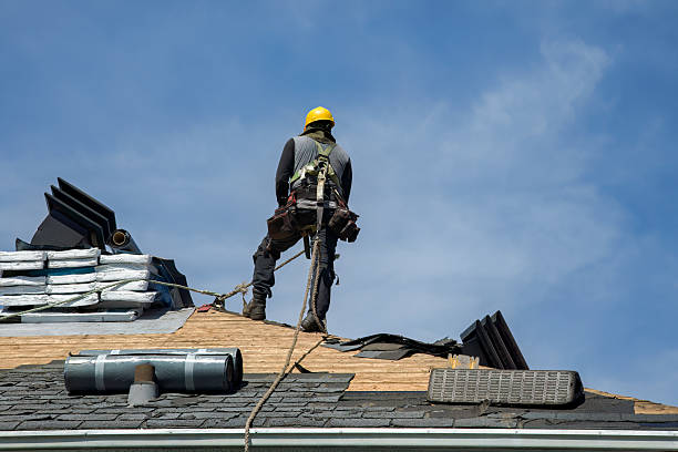 Professional Gutter Installation technician working in Lolita, TX